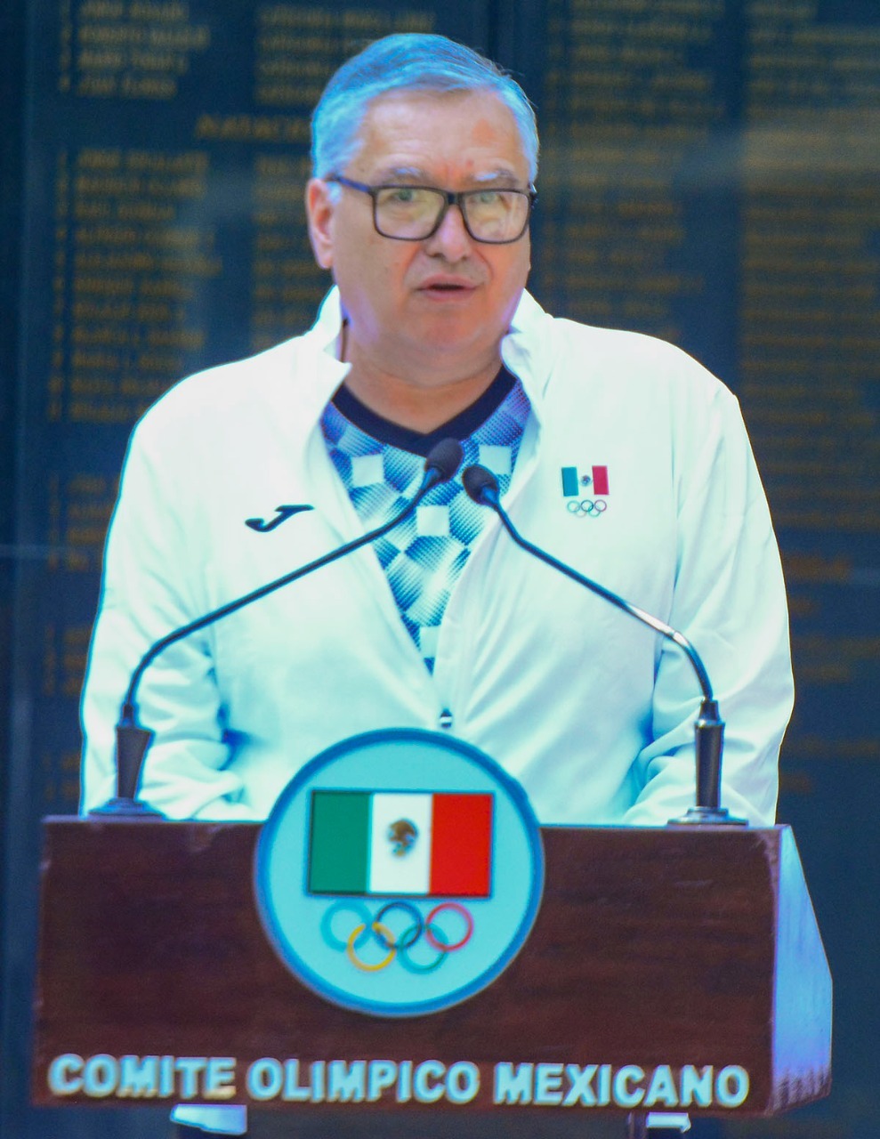 Jefe de misión
